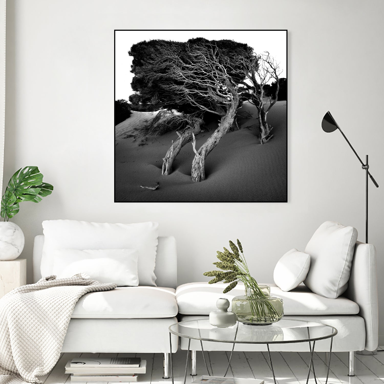 Windswept Tree by Injidup Western Australia on GIANT ART - black and white mark