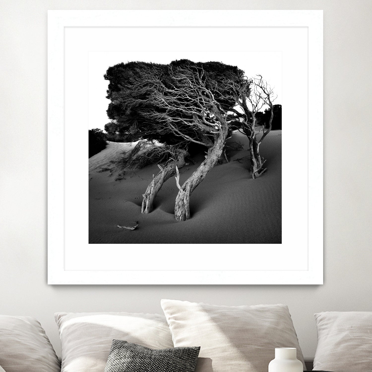 Windswept Tree by Injidup Western Australia on GIANT ART - black and white mark