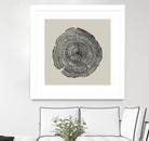 Hand Drawn Oak by Dan on GIANT ART - illustration dan hobday