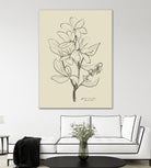 Floral 1 by Dan Hobday on GIANT ART - flowers and plants sketch