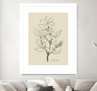 Floral 1 by Dan Hobday on GIANT ART - flowers and plants sketch