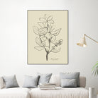 Floral 1 by Dan Hobday on GIANT ART - flowers and plants sketch