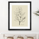 Floral 1 by Dan Hobday on GIANT ART - flowers and plants sketch