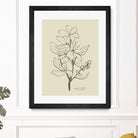 Floral 1 by Dan Hobday on GIANT ART - flowers and plants sketch