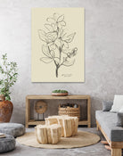 Floral 1 by Dan Hobday on GIANT ART - flowers and plants sketch