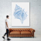 One Blue Conch by Jolly on GIANT ART - illustration animal