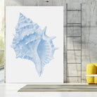 One Blue Conch by Jolly on GIANT ART - illustration animal