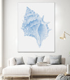 One Blue Conch by Jolly on GIANT ART - illustration animal