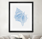 One Blue Conch by Jolly on GIANT ART - illustration animal