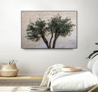 Olive Trees by Photolovers on GIANT ART - landscape plant