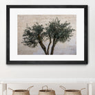 Olive Trees by Photolovers on GIANT ART - landscape plant