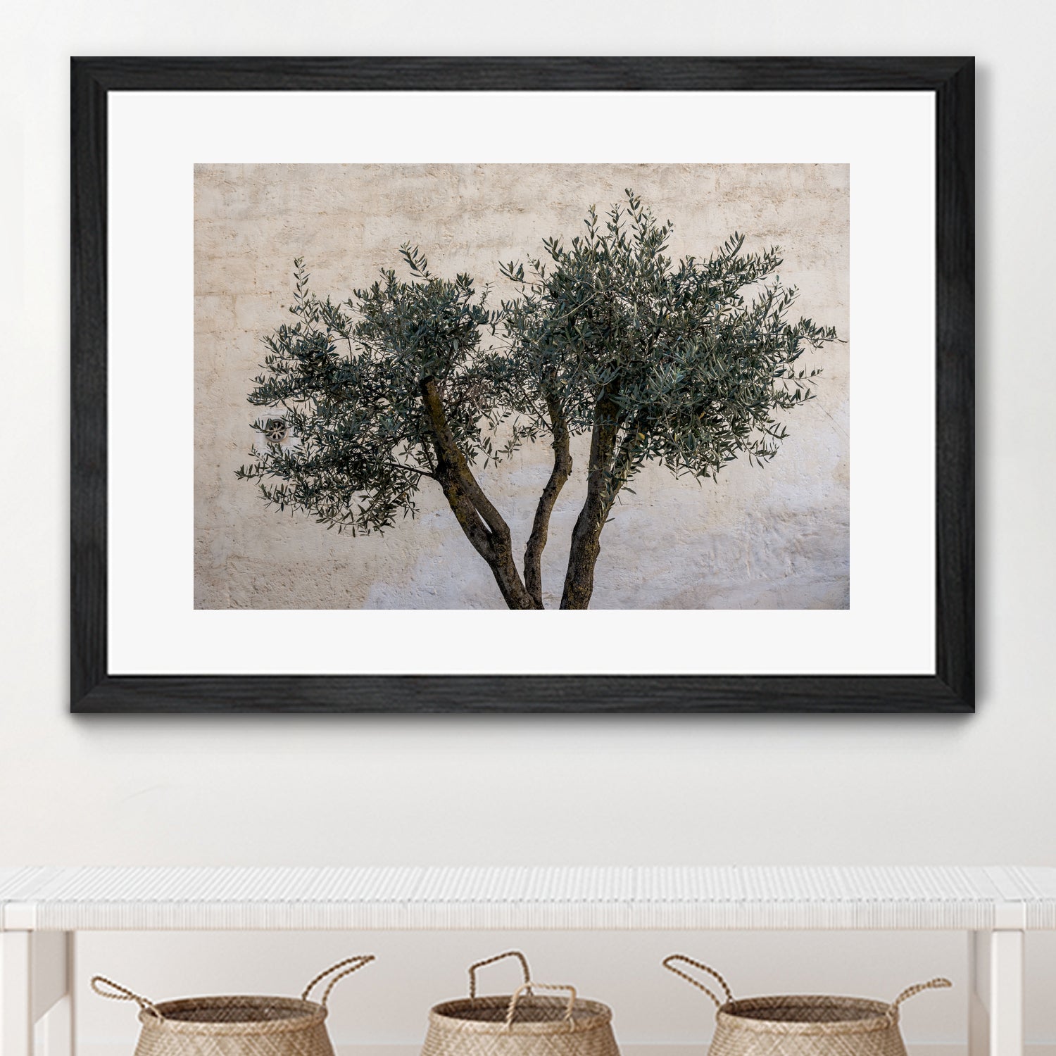 Olive Trees by Photolovers on GIANT ART - landscape plant