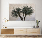 Olive Trees by Photolovers on GIANT ART - landscape plant