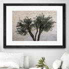 Olive Trees by Photolovers on GIANT ART - landscape plant