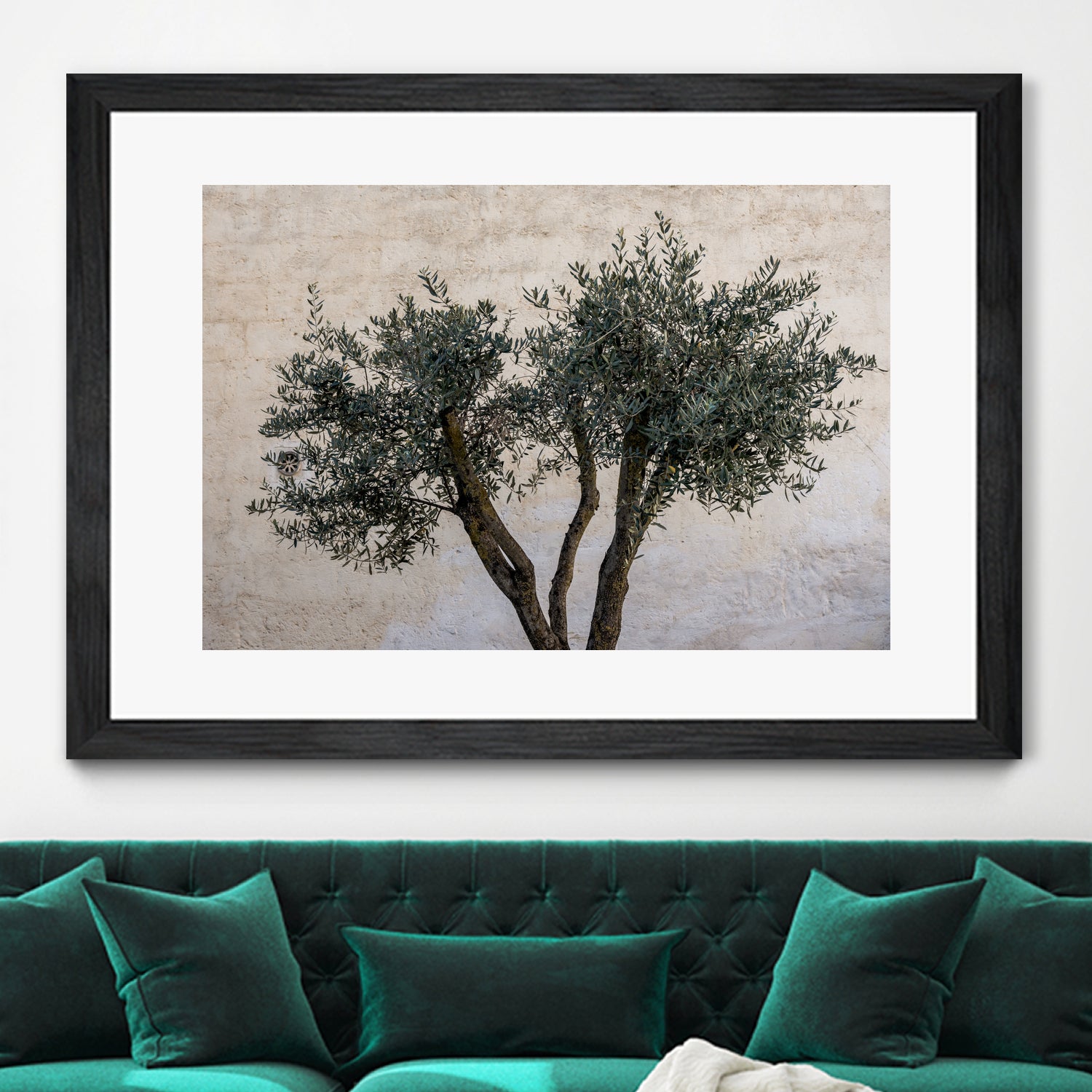 Olive Trees by Photolovers on GIANT ART - landscape plant