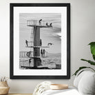 Jumping and Hangin' Around by Marko Buntic on GIANT ART -  photography 