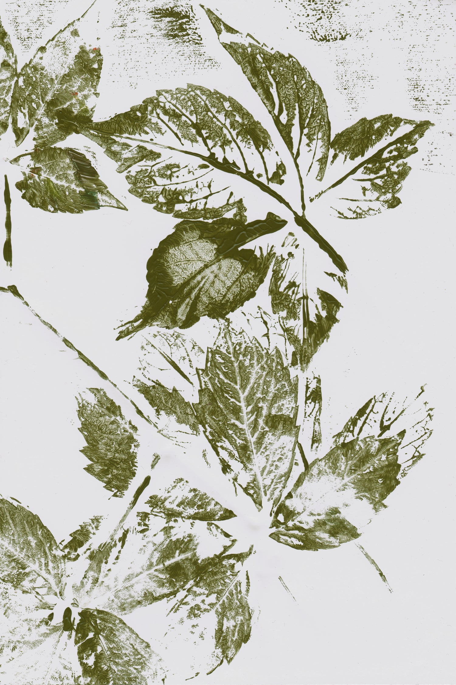 Leaves I by Maira Ribena on GIANT ART - plant flowers and plants plant