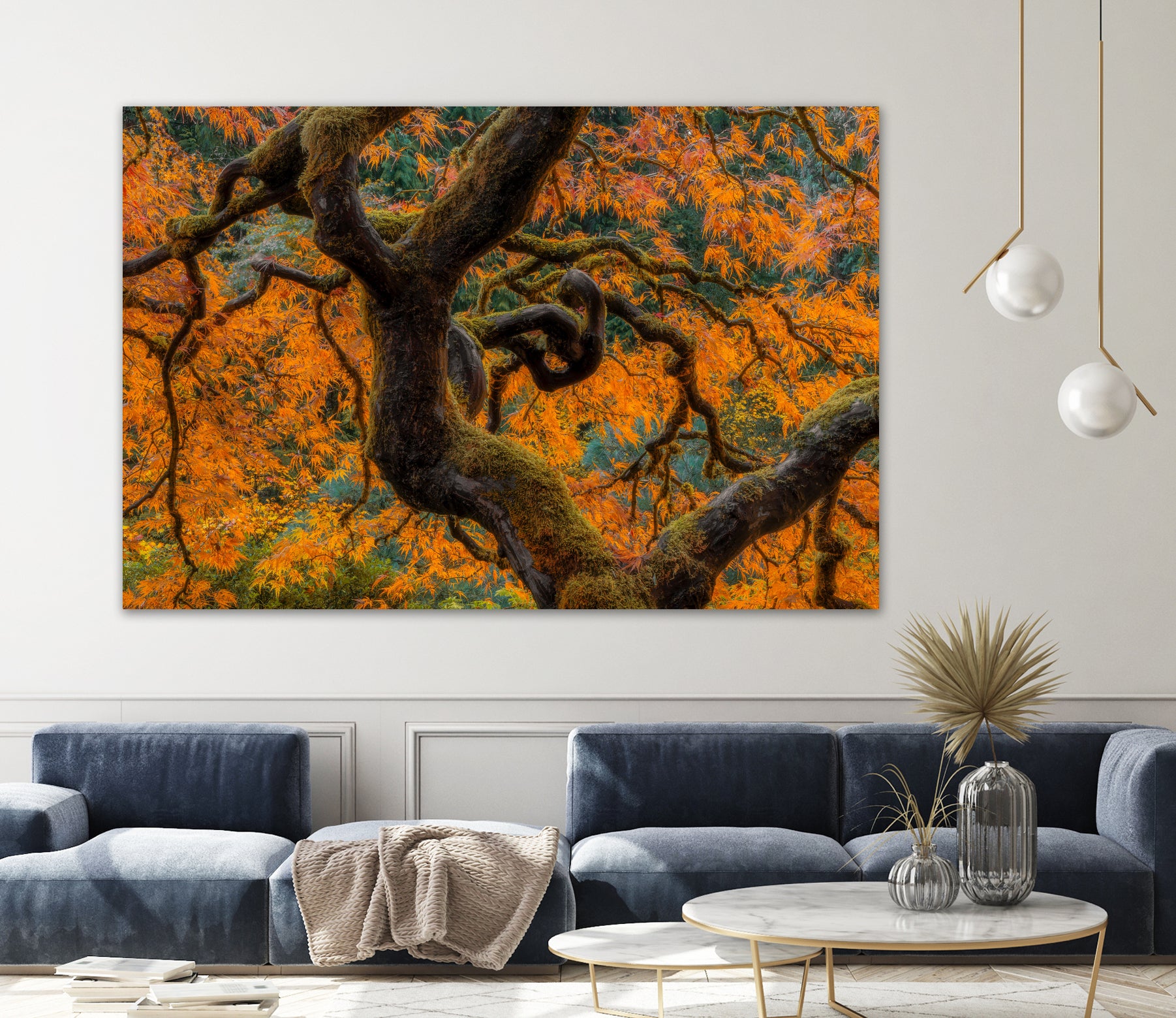 Golden Ratio by Junhao Wang on GIANT ART - orange botanical orange