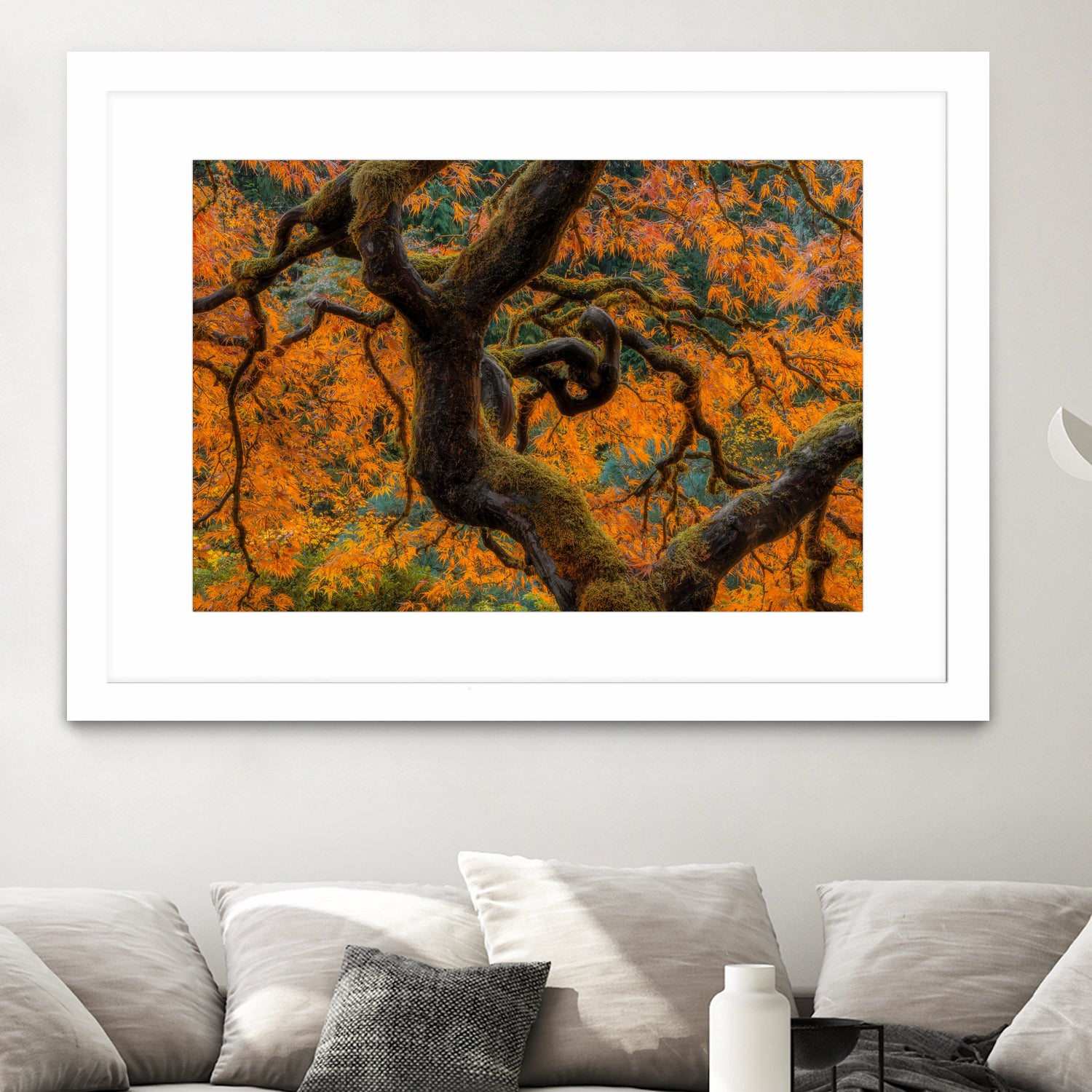 Golden Ratio by Junhao Wang on GIANT ART - orange botanical orange