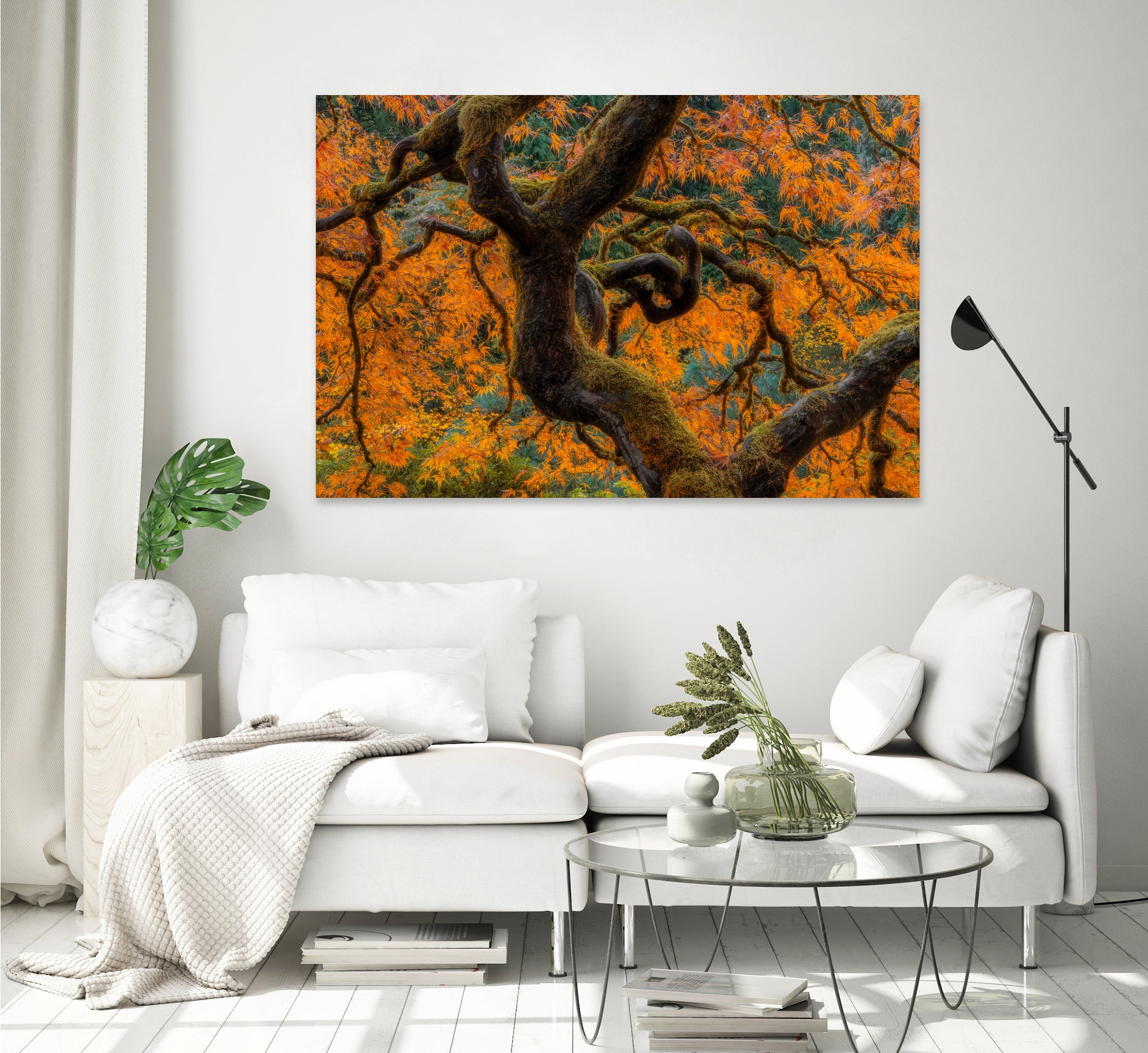 Golden Ratio by Junhao Wang on GIANT ART - orange botanical orange