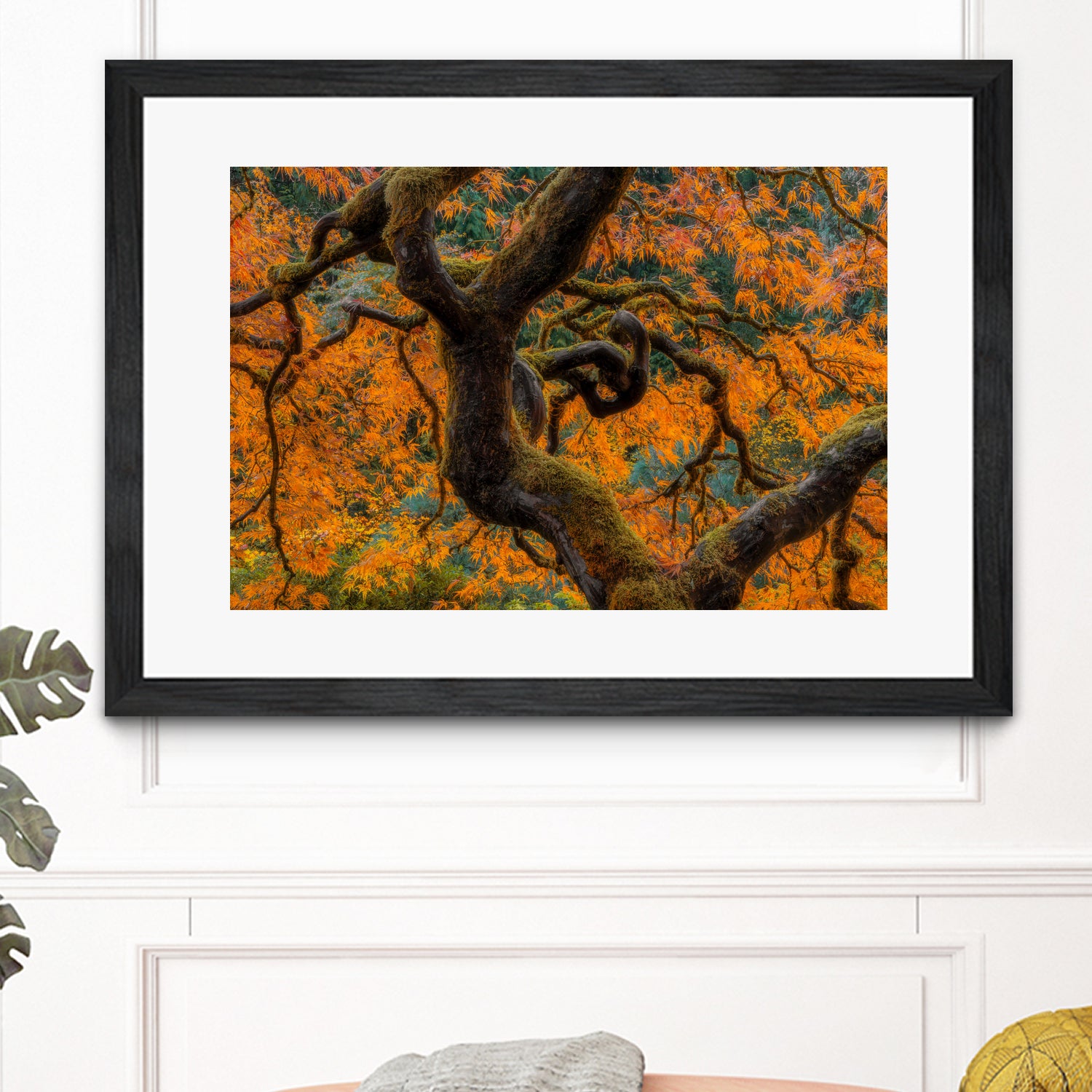 Golden Ratio by Junhao Wang on GIANT ART - orange botanical orange