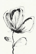Petal Sketch Essence by Santhosh ch on GIANT ART - flowers and plants minimalist flower illustration