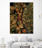 Autumn's Winding Path by Javier Pardina on GIANT ART - forest landscape  forest