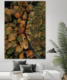 Autumn's Winding Path by Javier Pardina on GIANT ART - forest landscape  forest