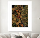 Autumn's Winding Path by Javier Pardina on GIANT ART - forest landscape  forest