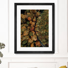 Autumn's Winding Path by Javier Pardina on GIANT ART - forest landscape  forest