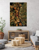 Autumn's Winding Path by Javier Pardina on GIANT ART - forest landscape  forest