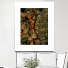 Autumn's Winding Path by Javier Pardina on GIANT ART - forest landscape  forest