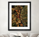 Autumn's Winding Path by Javier Pardina on GIANT ART - forest landscape  forest