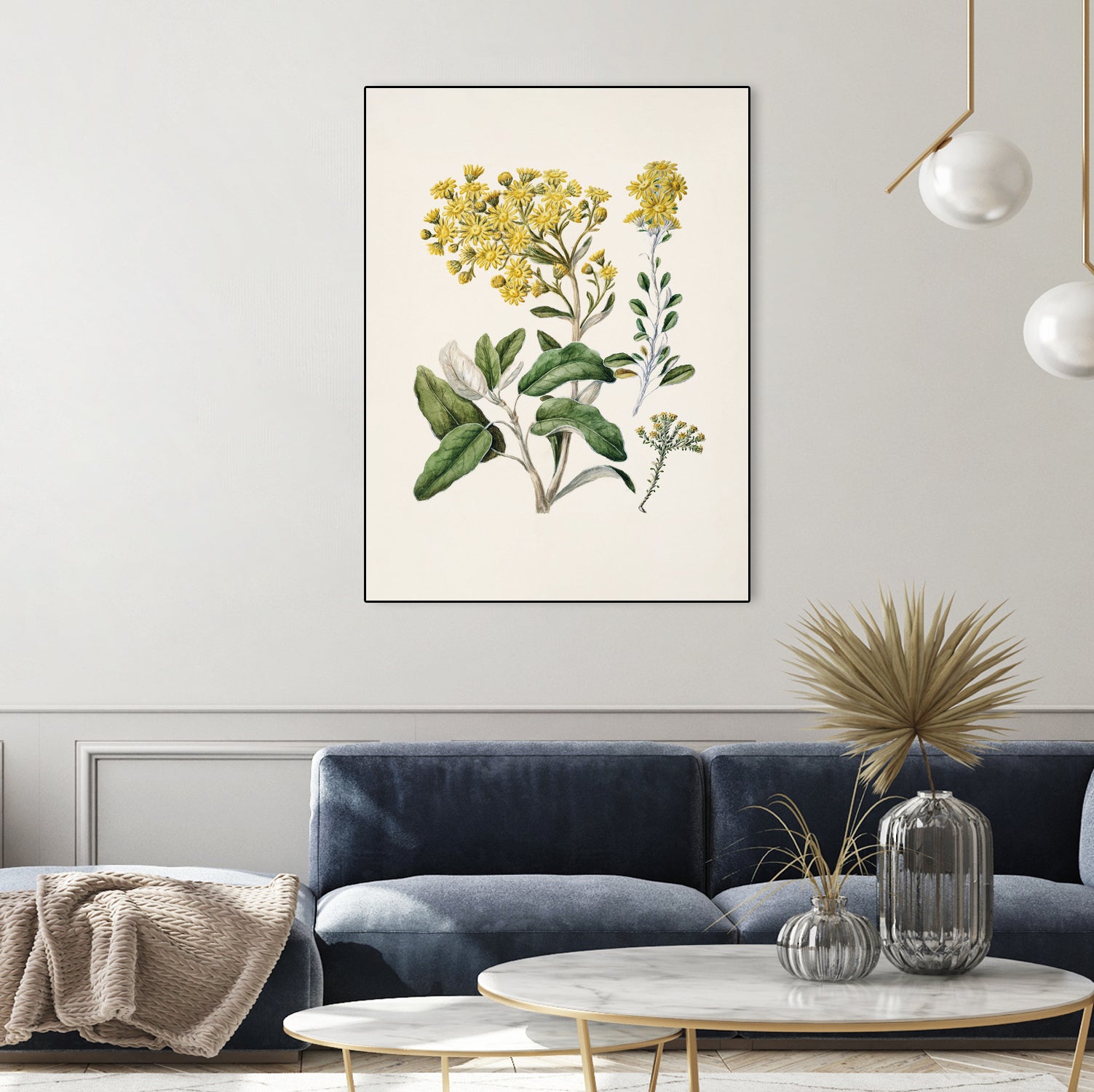 Daisy   Brachyglottis Drawn By Sarah Featon (1848a1927) by Sarah Featon on GIANT ART - vintage botanical flowers and plants vintage botanical
