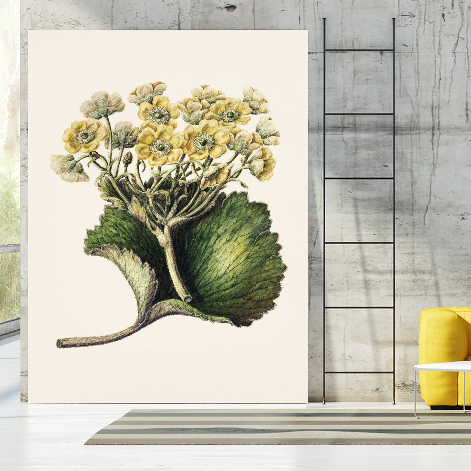 Korikor Drawn By Sarah Featon (1848a¬Ä¬ì1927 by Sarah Featon on GIANT ART - flowers and plants vintage botanical