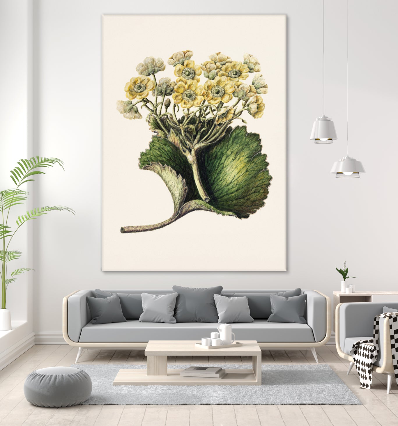 Korikor Drawn By Sarah Featon (1848a¬Ä¬ì1927 by Sarah Featon on GIANT ART - flowers and plants vintage botanical