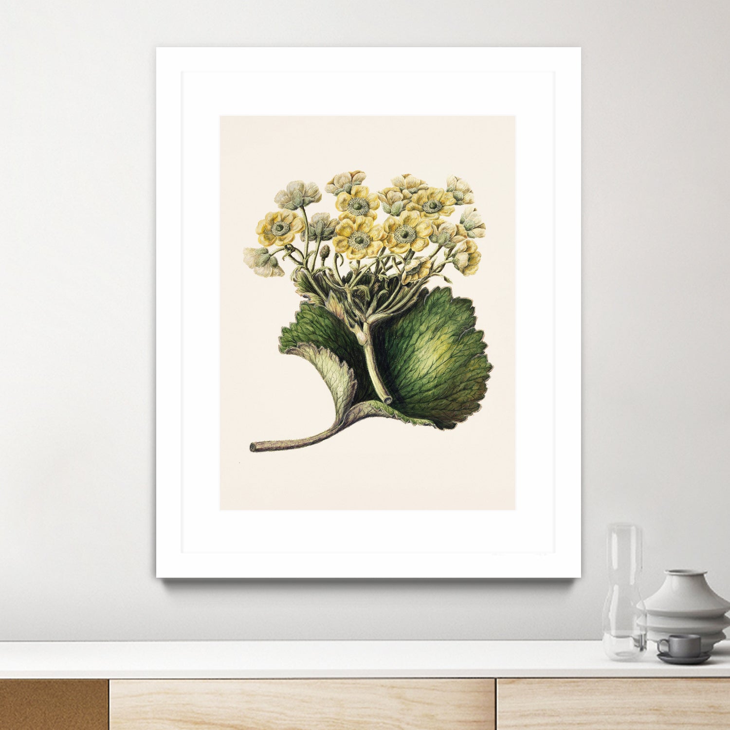 Korikor Drawn By Sarah Featon (1848a¬Ä¬ì1927 by Sarah Featon on GIANT ART - flowers and plants vintage botanical