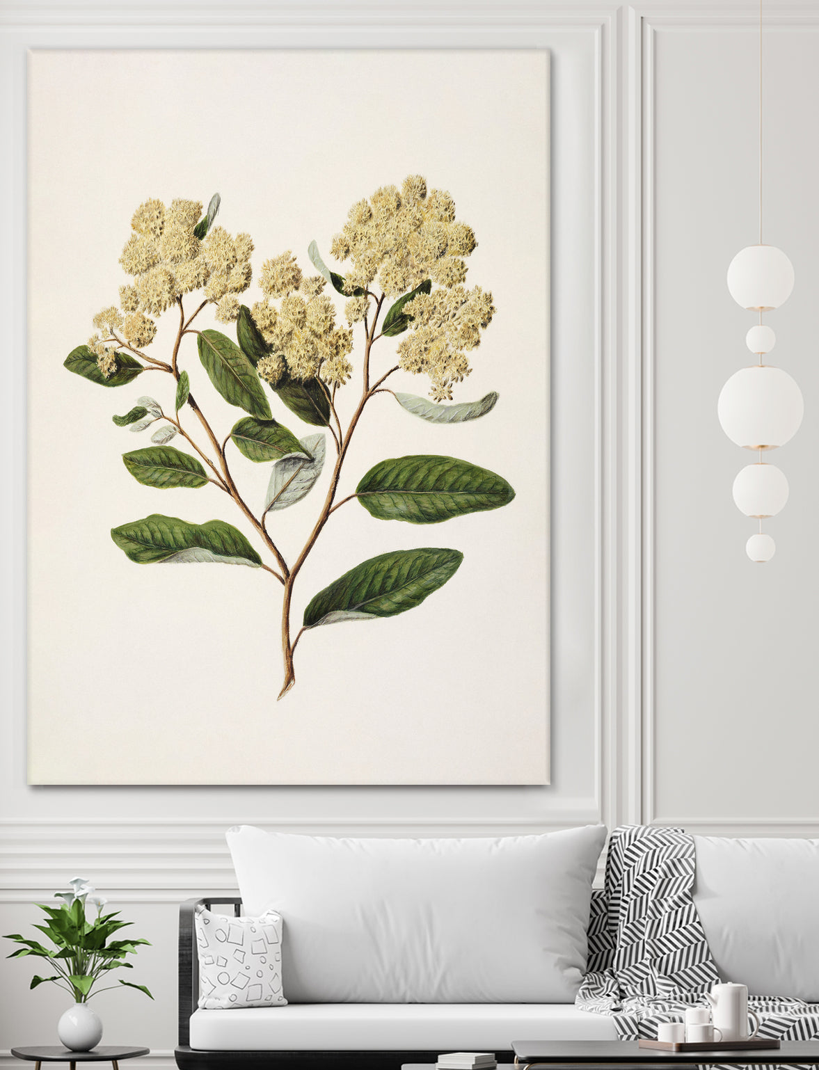 Kumarahou Drawn By Sarah Featon (1848a¬Ä¬ì1927 by Sarah Featon on GIANT ART - flowers and plants vintage botanical