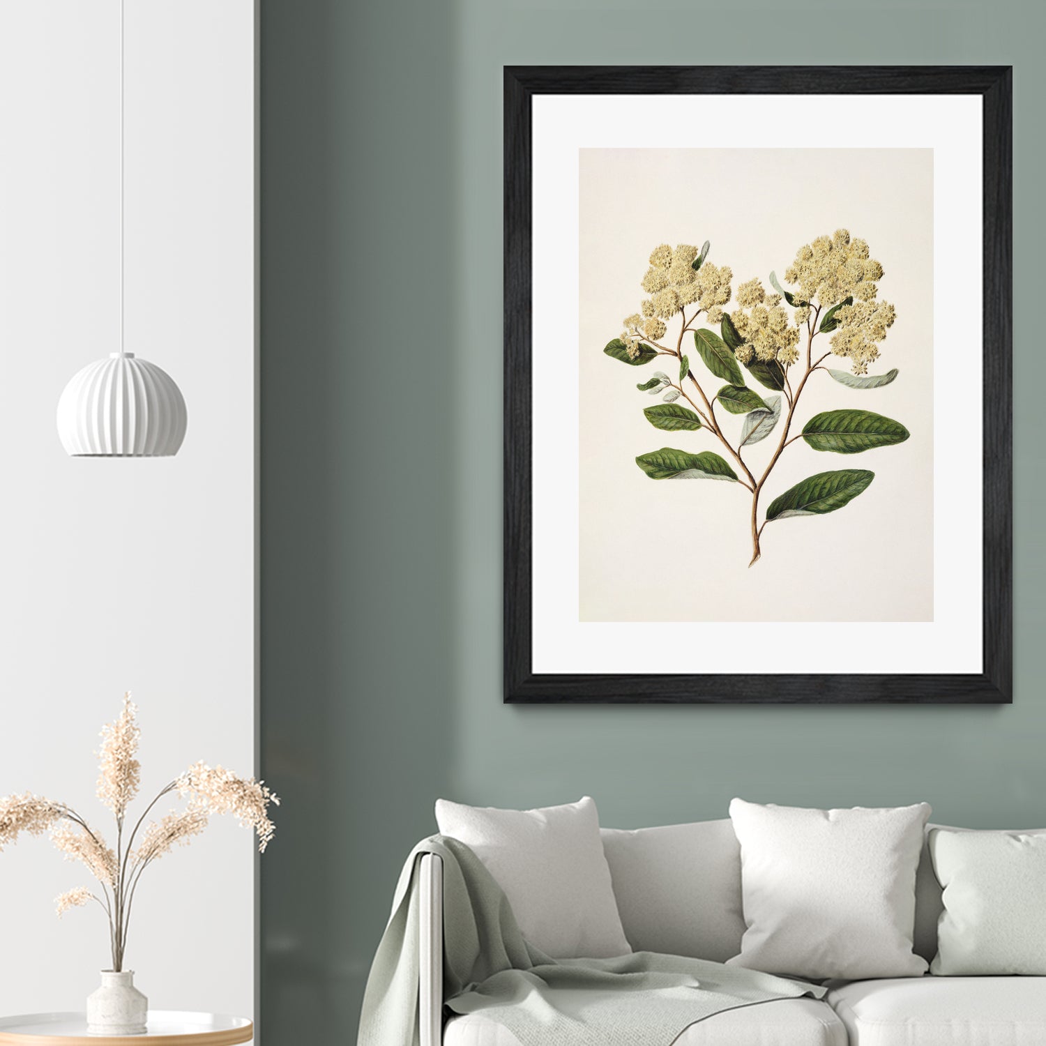 Kumarahou Drawn By Sarah Featon (1848a¬Ä¬ì1927 by Sarah Featon on GIANT ART - flowers and plants vintage botanical