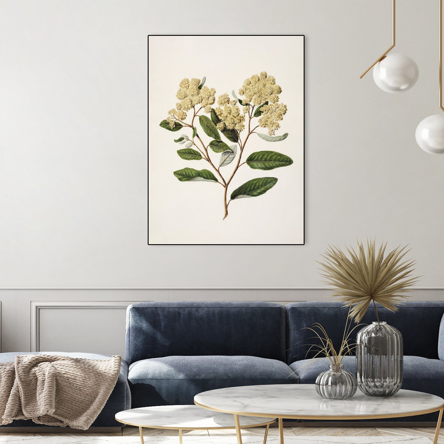 Kumarahou Drawn By Sarah Featon (1848a¬Ä¬ì1927 by Sarah Featon on GIANT ART - flowers and plants vintage botanical