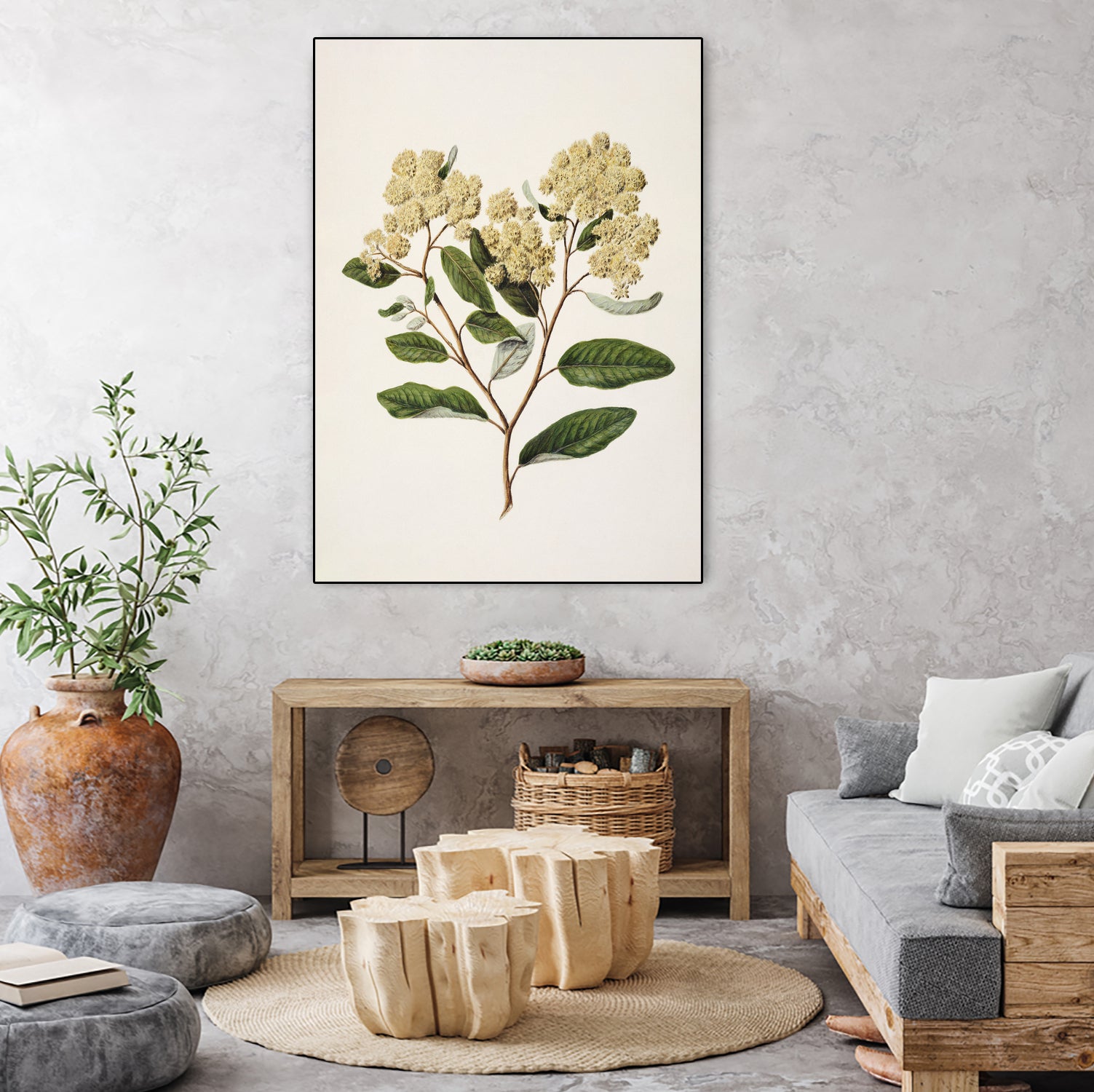 Kumarahou Drawn By Sarah Featon (1848a¬Ä¬ì1927 by Sarah Featon on GIANT ART - flowers and plants vintage botanical