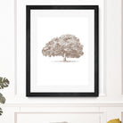 Big Tree in Brown Sepia by Katie Oa#039;Shea on GIANT ART - 2550 illustration