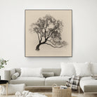 Wanaka Rain by Steven Fudge on GIANT ART - rain botanical rain