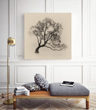 Wanaka Rain by Steven Fudge on GIANT ART - rain botanical rain