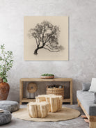 Wanaka Rain by Steven Fudge on GIANT ART - rain botanical rain