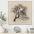 Wanaka Rain by Steven Fudge on GIANT ART - rain botanical rain