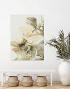 Hill Flowers 1 by Dan Hobday on GIANT ART - ananpainted  ananpainted