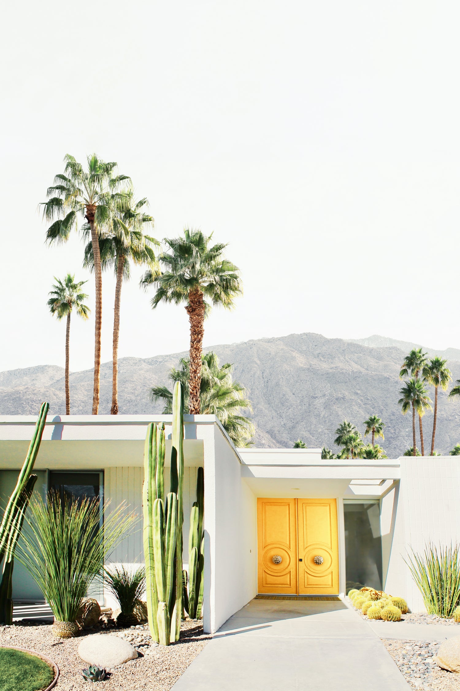 Palm Springs 2 by Kathrin Pienaar on GIANT ART -  framed canvas