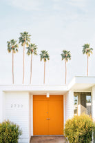 Palm Springs 1 by Kathrin Pienaar on GIANT ART -  pienaar