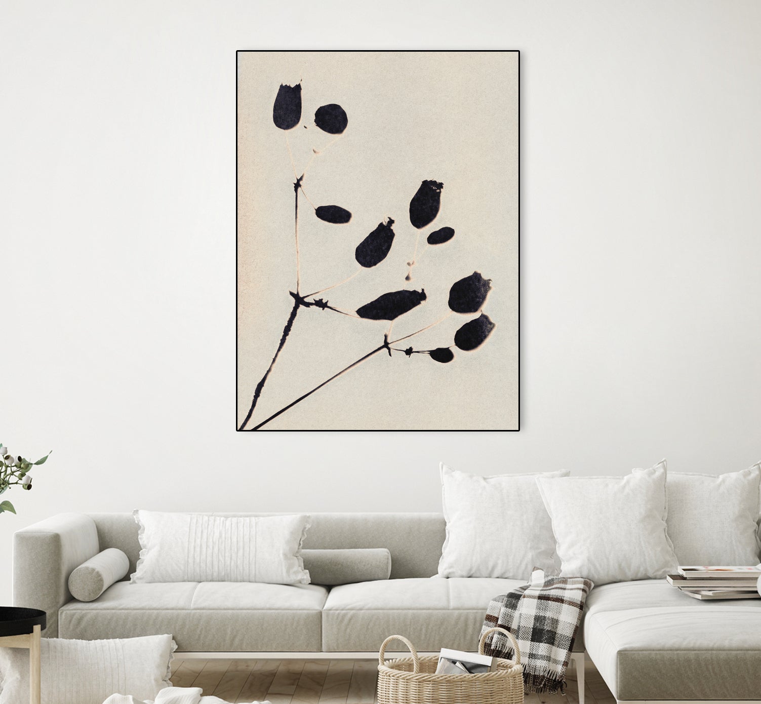 Wildflower In Bloom by Alisa Galitsyna on GIANT ART - monochrome  monochrome